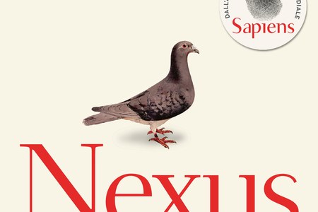 Gruppo di lettura online sulla letteratura israeliana contemporanea