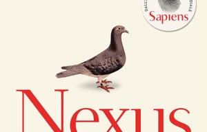 Gruppo di lettura online sulla letteratura israeliana contemporanea